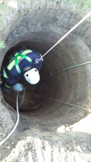 Un emocionante rescate