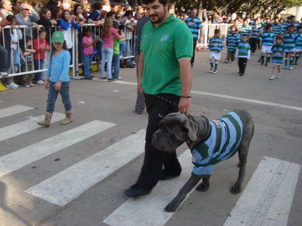 Hugo y Los Escorpiones