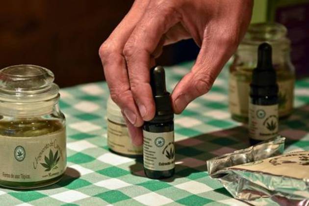 Farmacéuticos: Quieren vender la marihuana medicinal