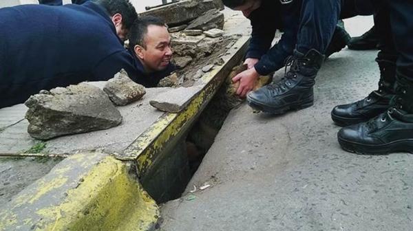 Conmovedor rescate a un perro atrapado en una alcantarilla en Bahía Blanca