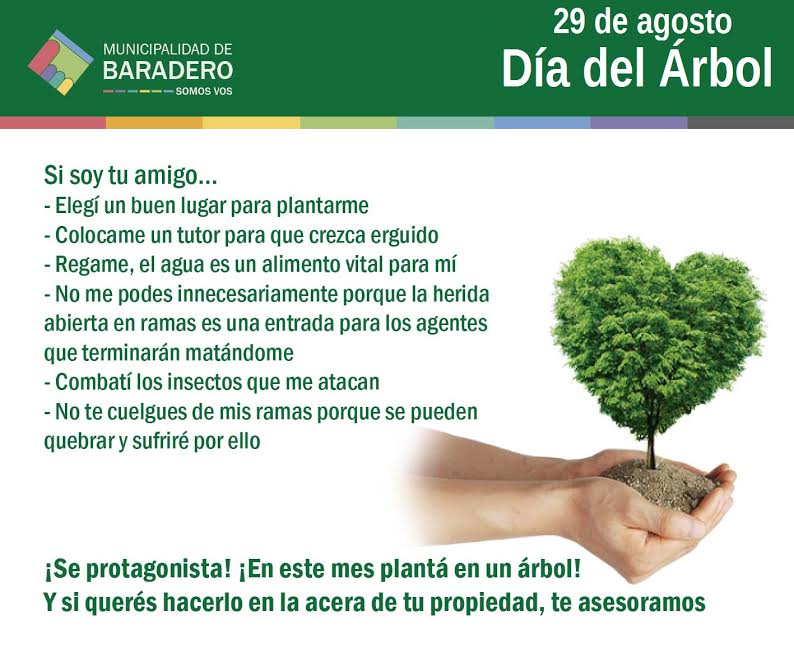 Día del Árbol: más árboles, más vida