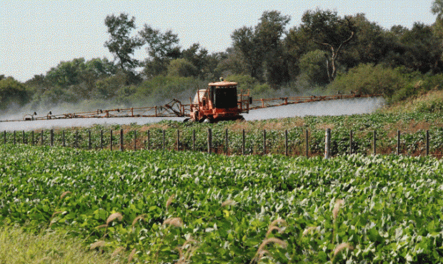 El problema de los agrotoxicos en territorio bonaerense