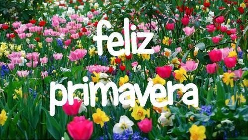 Foto del día