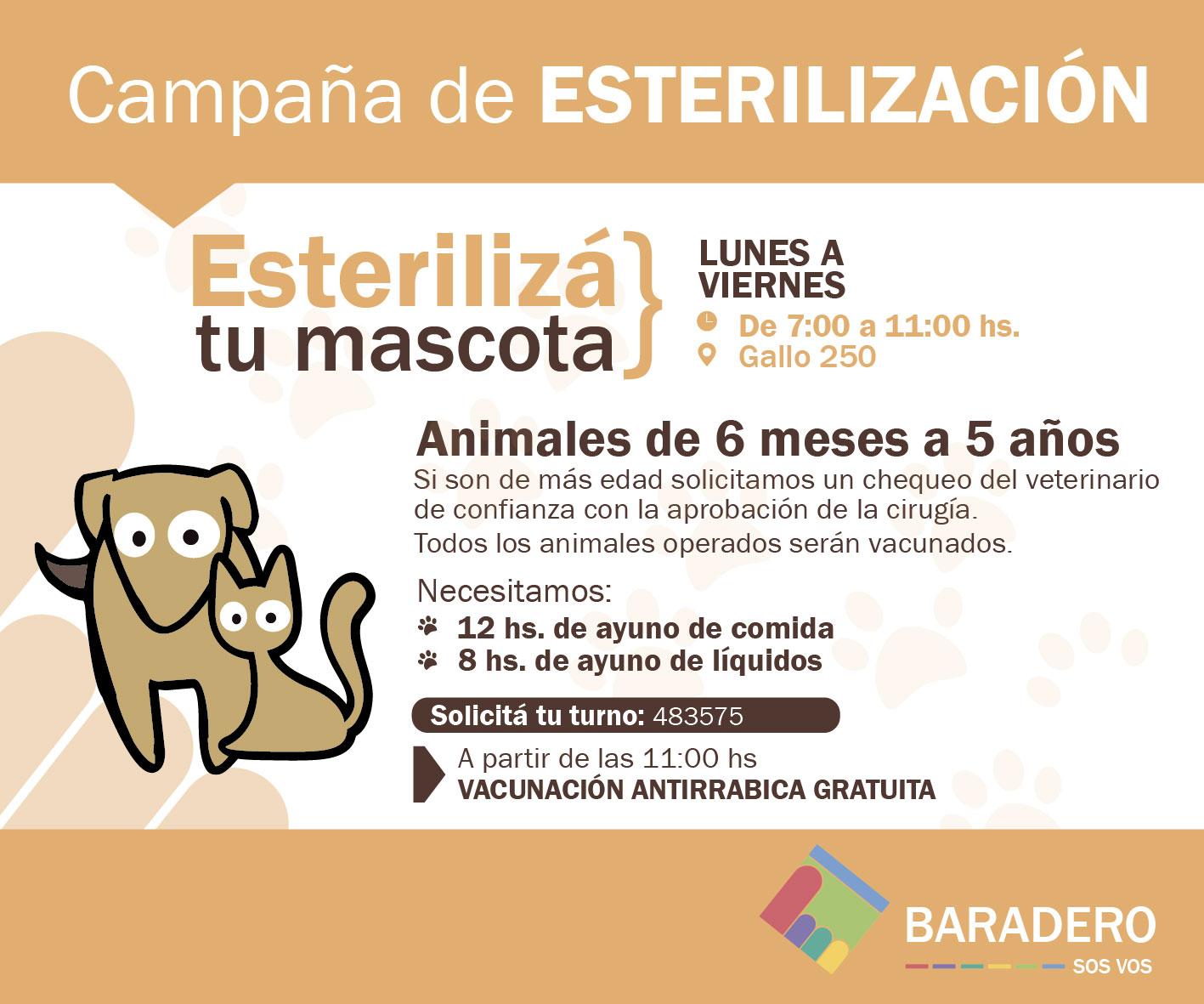 Campaña de esterilización de mascotas