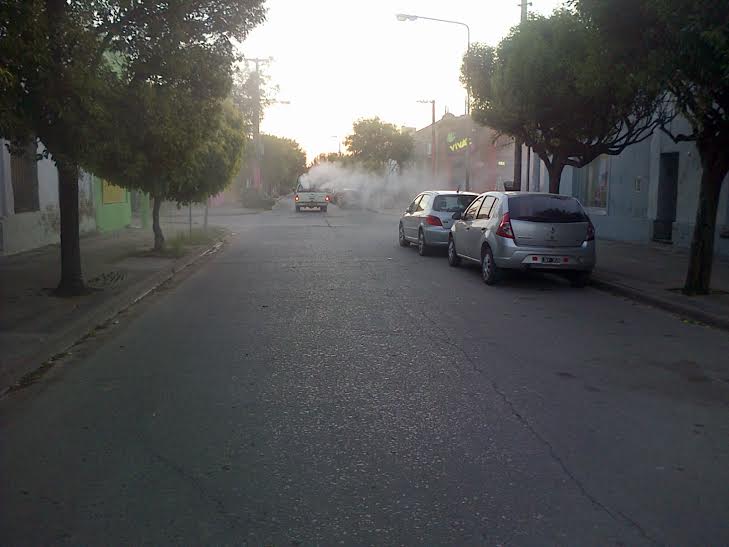 En los próximos días comienzan las fumigaciones contra el mosquito