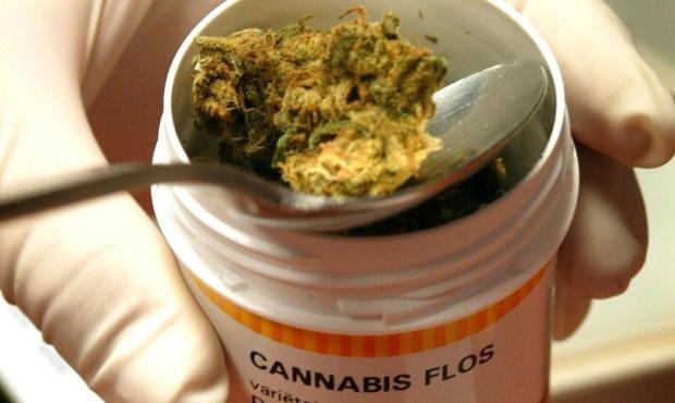 En la provincia el Aceite de Cannabis será medicamento alternativo