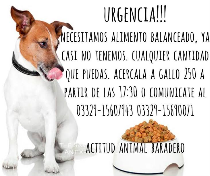 Necesitamos alimento con urgencia!