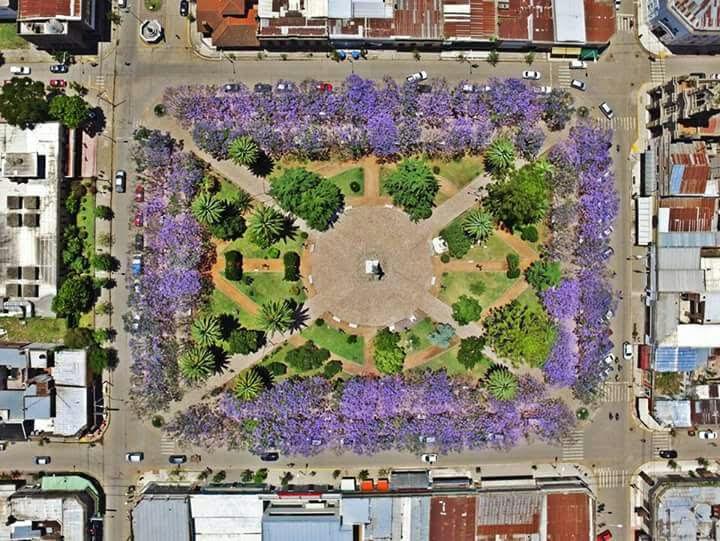 Foto del día