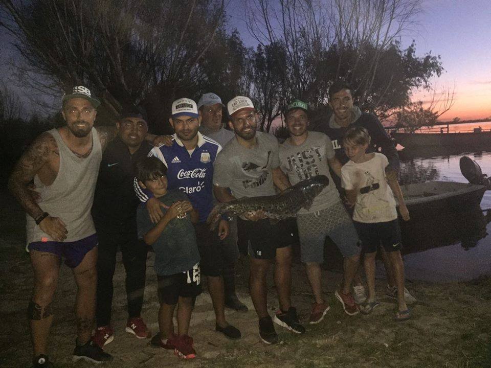 Sorpresa en la isla