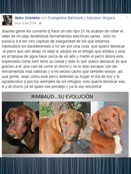 Agradecimiento a un perro