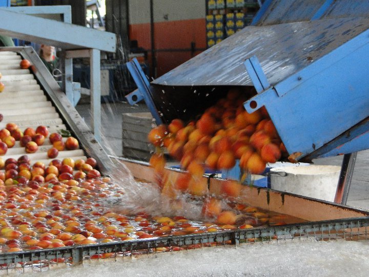 Los propietarios de Magnifresh S.A. se reunieron con autoridades municipales
