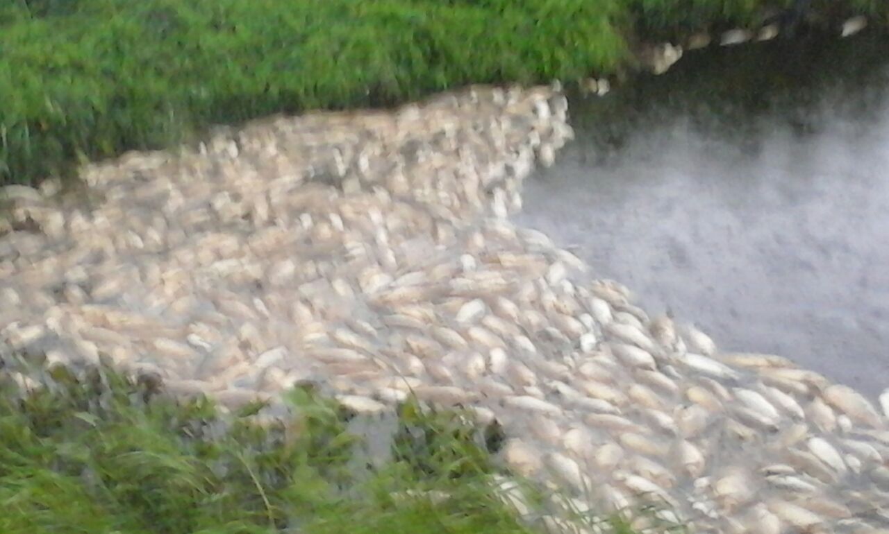 “Es un aviso de la naturaleza, los próximos somos nosotros”