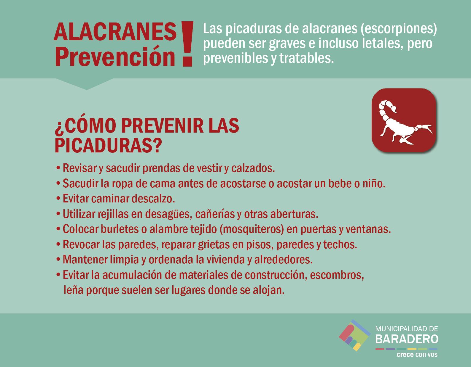 Alacranes: prevención, síntomas y tratamiento