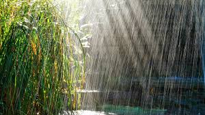 Lluvia en Baradero