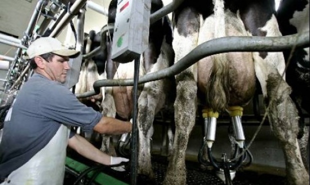 La producción láctea en la Argentina tuvo en 2016 la peor caída en 46 años