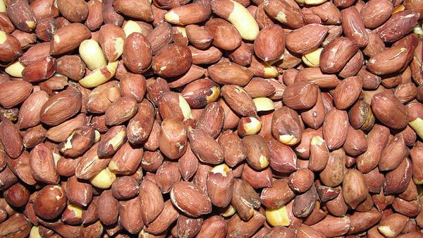 Un «superalimento» precolombino, la inesperada arma para luchar contra la desnutrición