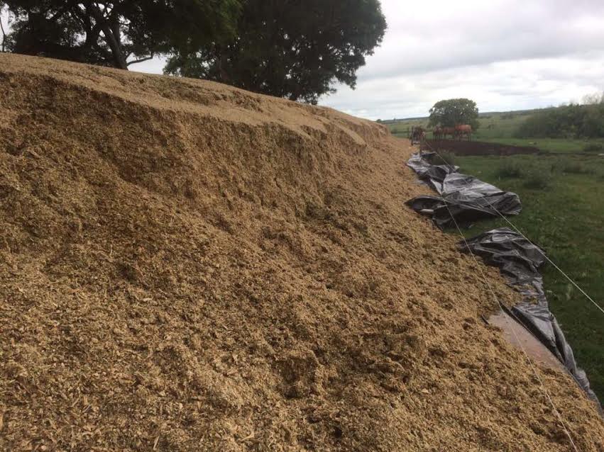 Alerta por la rotura de silos bolsa en San Pedro