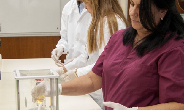 Producen un medicamento de origen natural para la diabetes