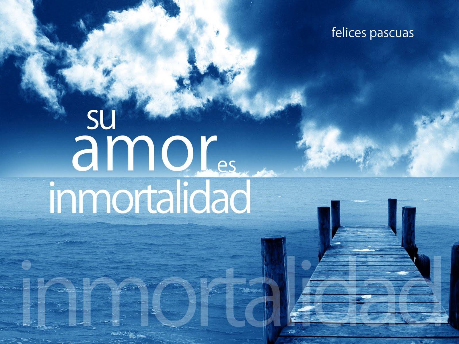 Foto del día