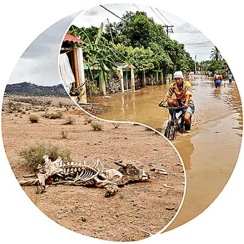 Inundaciones, sequías, incendios