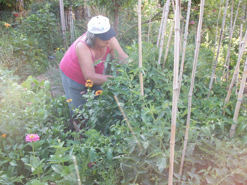 Plantas más sanas con menos productos