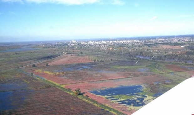 La construcción ilegal de terraplenes generaría daños irreversibles en el Delta del Paraná