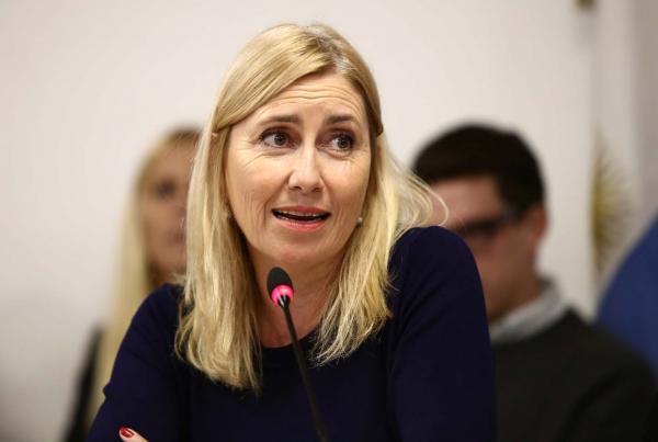 Schwindt: “Celebro que la Justicia suspenda el tarifazo eléctrico”