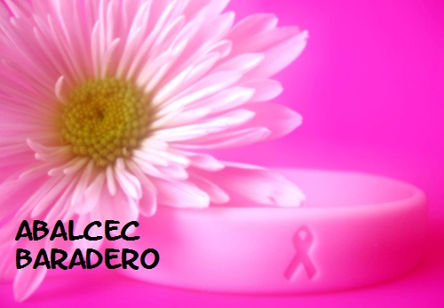ABALCEC. Premio de bono contribución será donado a merenderos