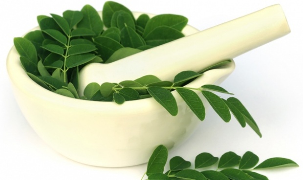 Moringa, el “superalimento” que busca dejar de ser un “yuyo”