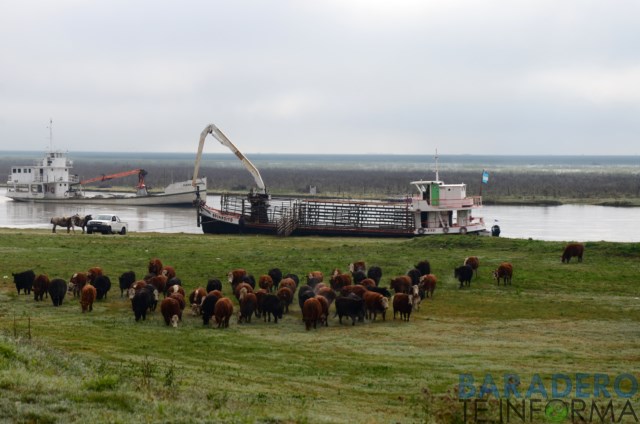 Creciente: El Río Baradero tuvo un pico de 2.5