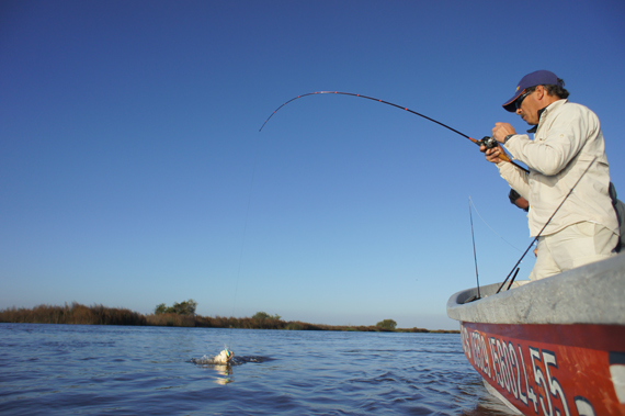 Pidieron que se controle la pesca en el río Baradero
