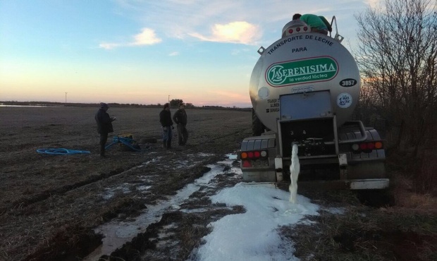 Se tiran «miles» de litros de leche porque los camiones no pueden circular