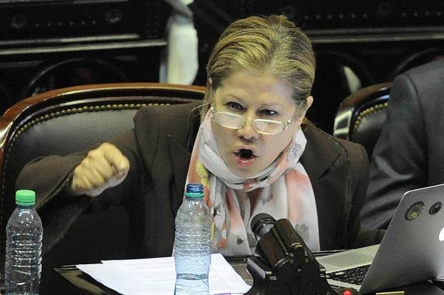 Camaño: “Vamos a votar afirmativamente el desafuero de De Vido si la Justicia lo requiere”