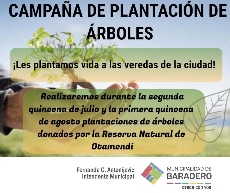 Campaña de plantación de árboles en veredas de la ciudad
