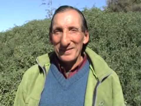Hijos Nuestros. El Flaco Cáceres