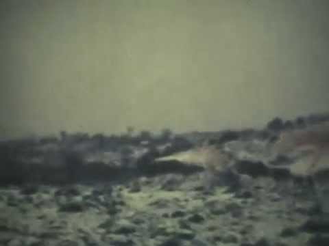 Nieve en Baradero, Julio 1973