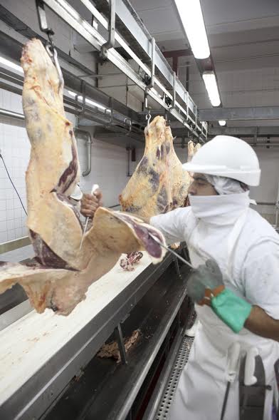 Resguardo de la inocuidad de la carne