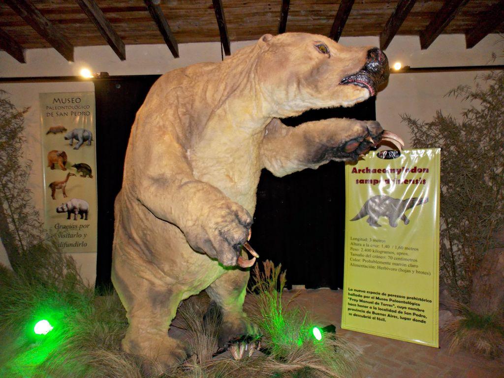El museo paleontológico presentó la recreación del perezoso prehistórico sampedrino