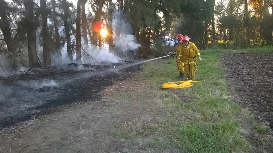 Incendio de pastos