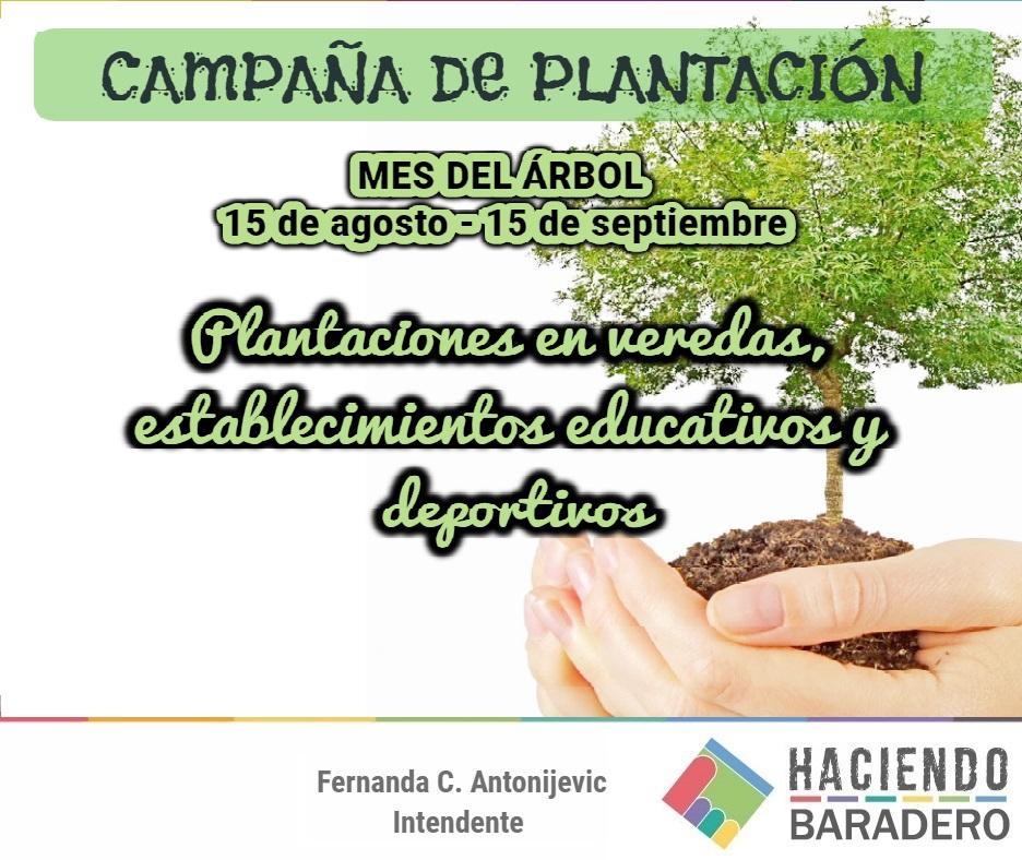 Campaña de plantación de árboles