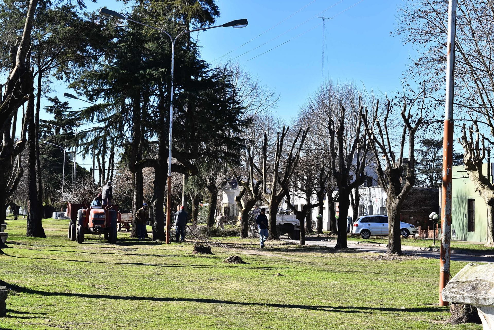 Se podaron los árboles del boulevard René Simón