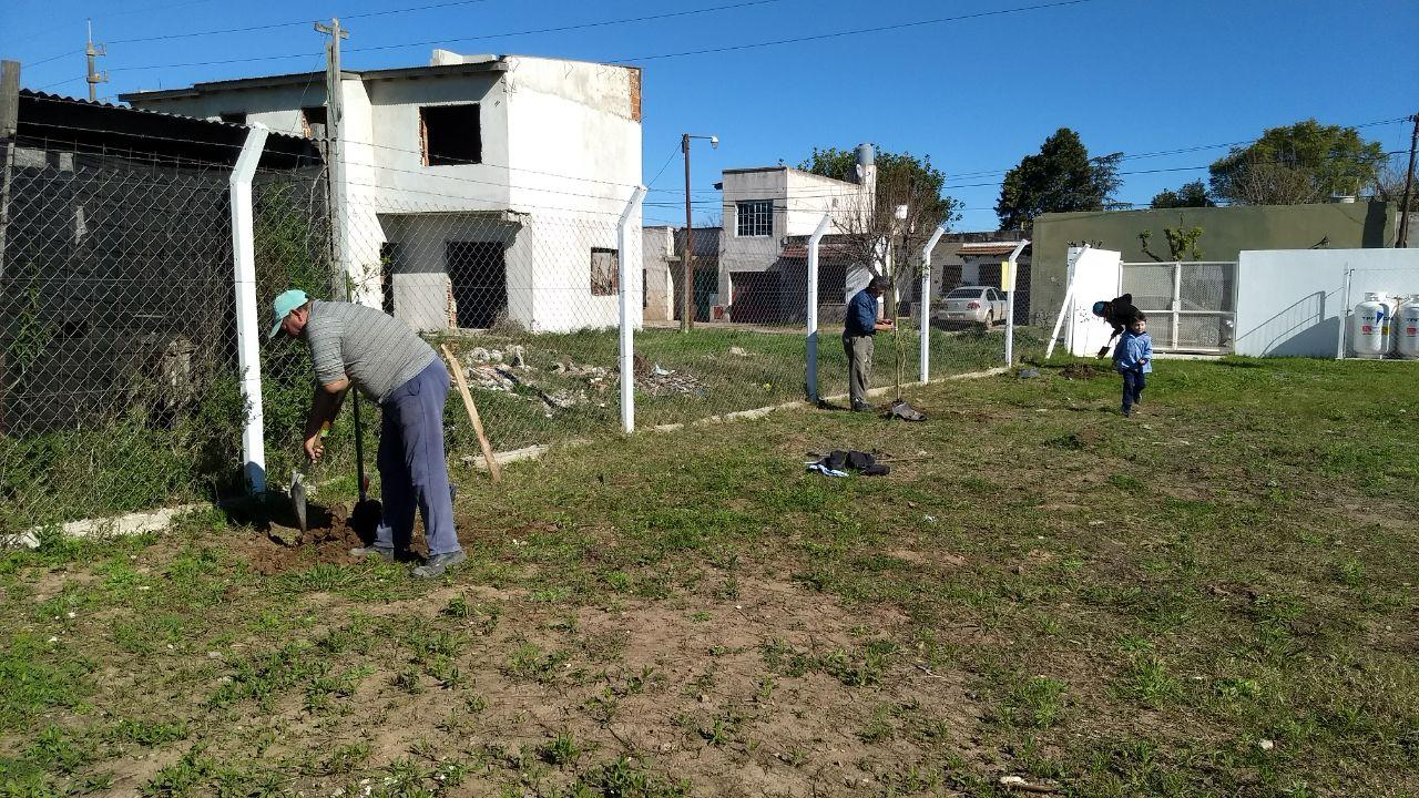 Plantación de más de 80 ejemplares en el marco de la campaña de plantación de árboles en veredas de la ciudad