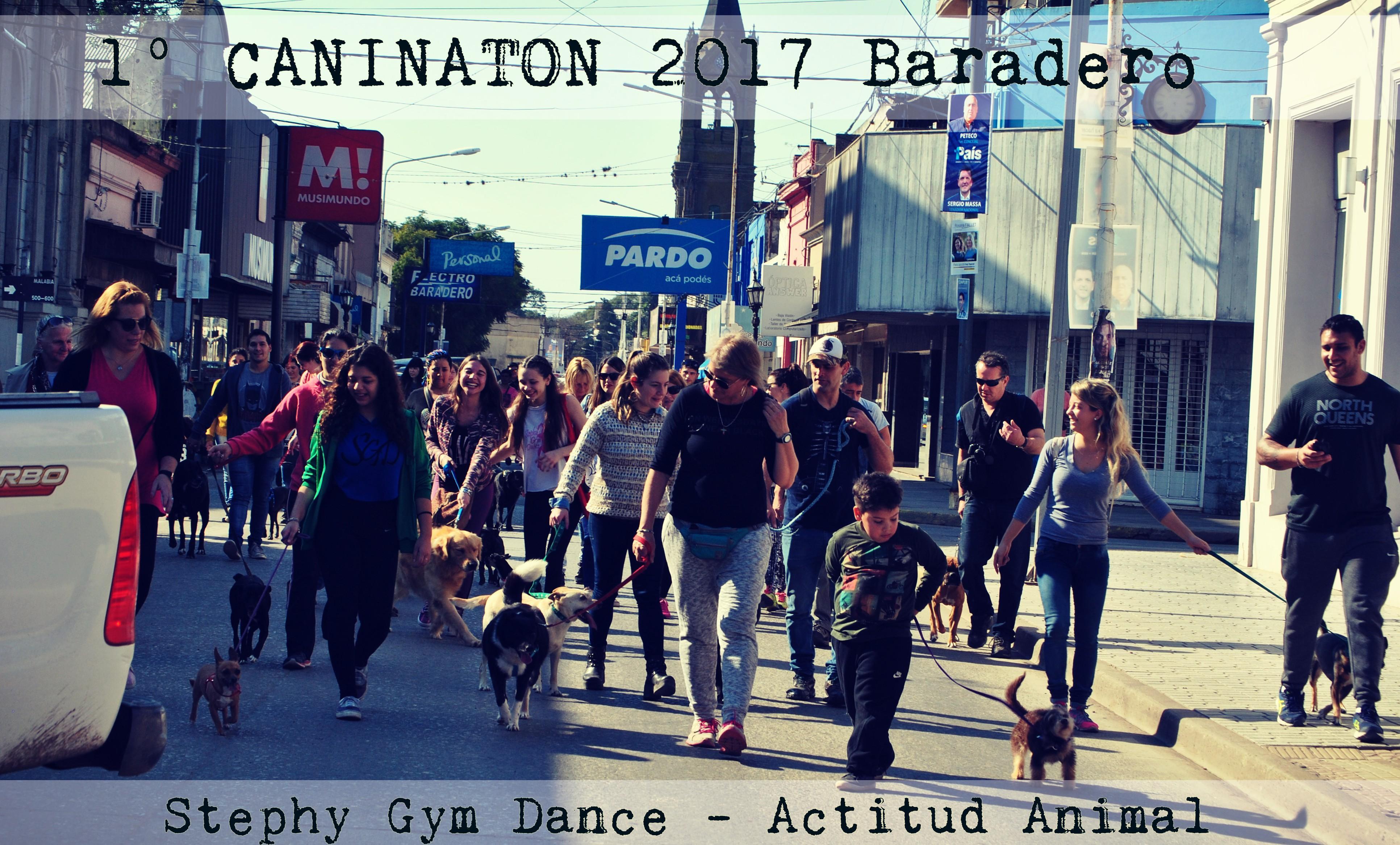 1° Caninaton de Actitud Animal Baradero