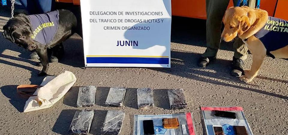 Zárate: detienen a un hermano de “Chipi” Barijho y a dos choferes de un micro con seis kilos de cocaína