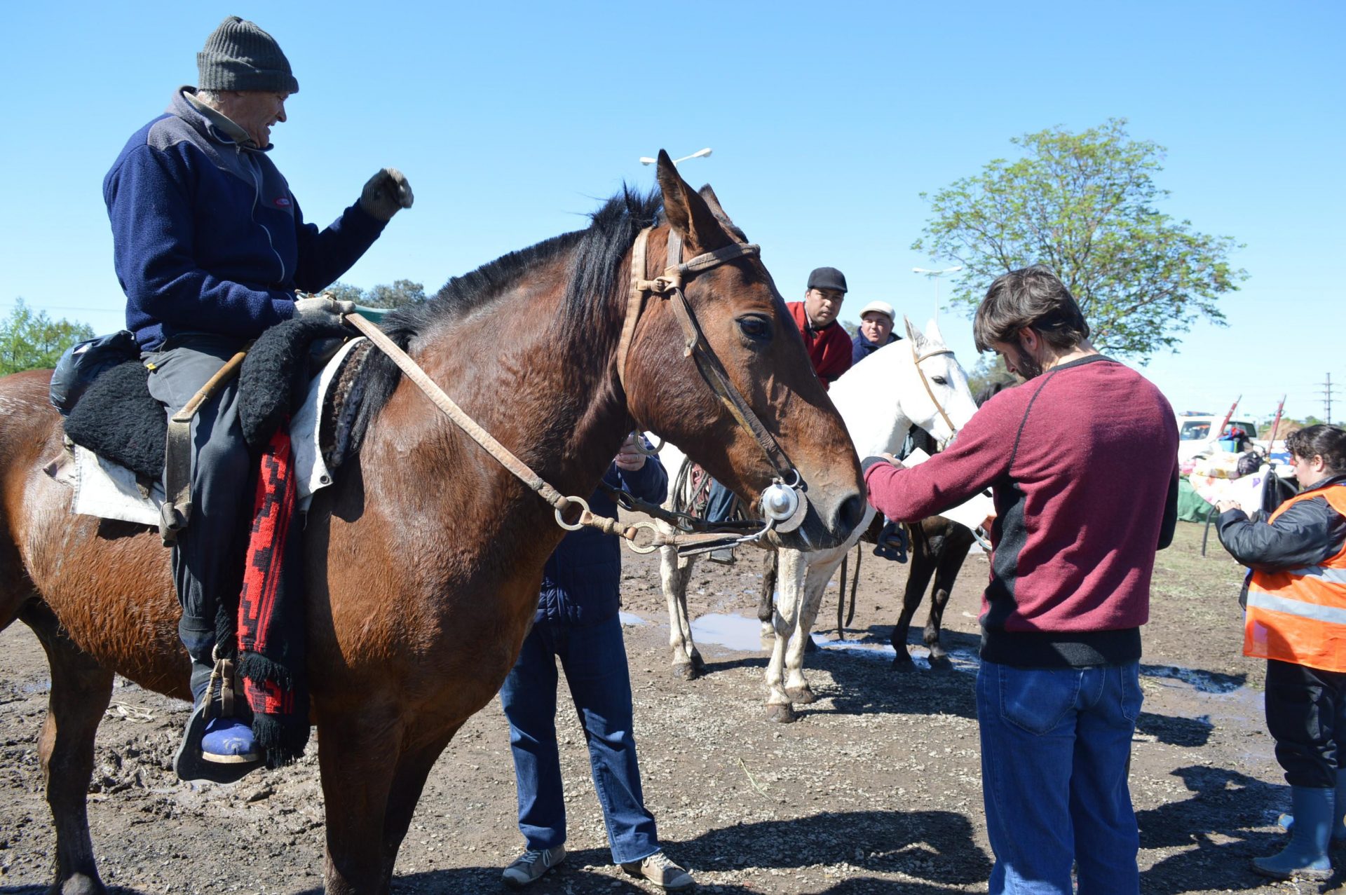 Controles e información sobre sanidad equina en la 73° Peregrinación a Caballo a Luján
