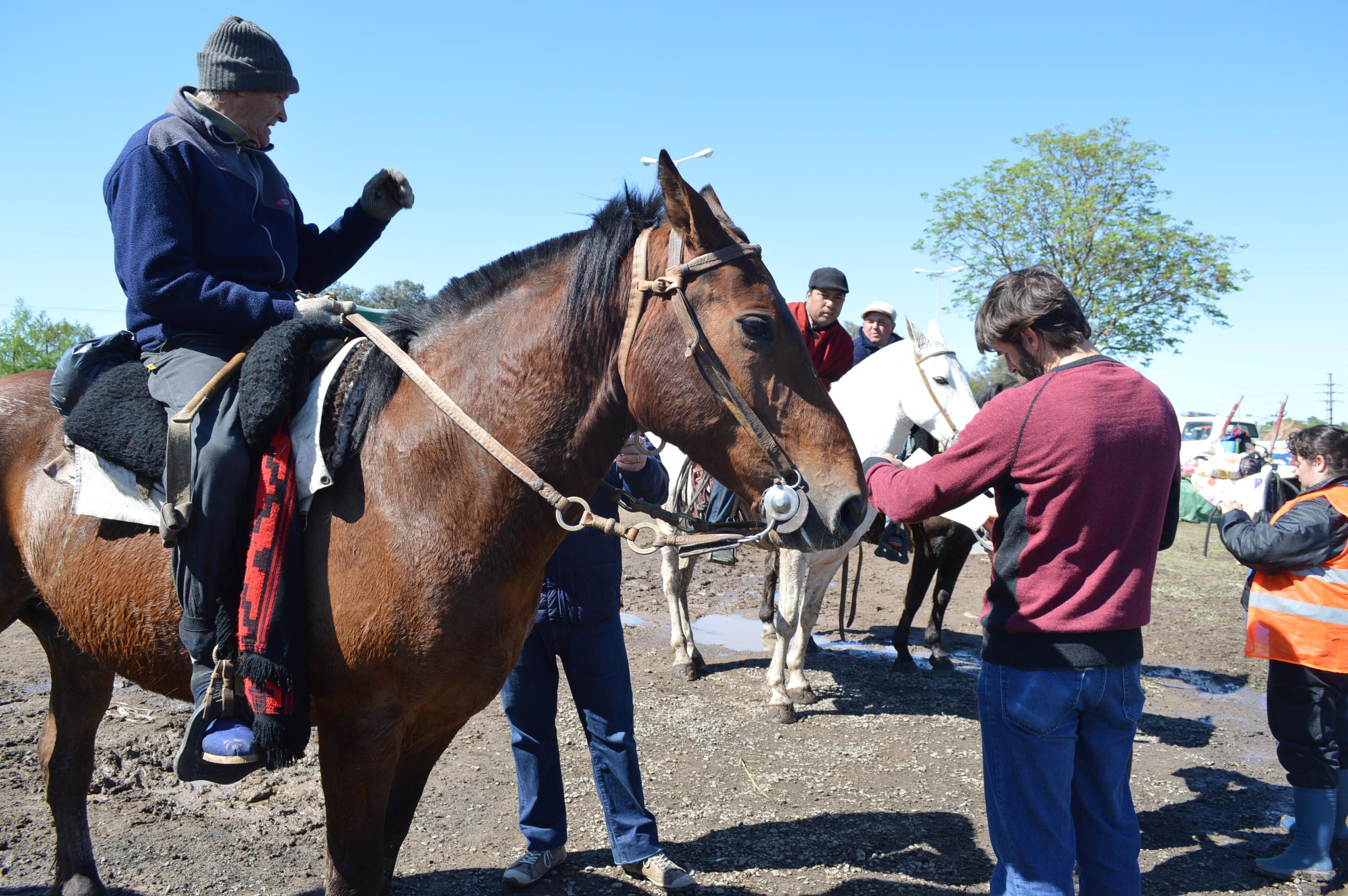 Controles e información sobre sanidad equina en la 73° Peregrinación a Caballo a Luján