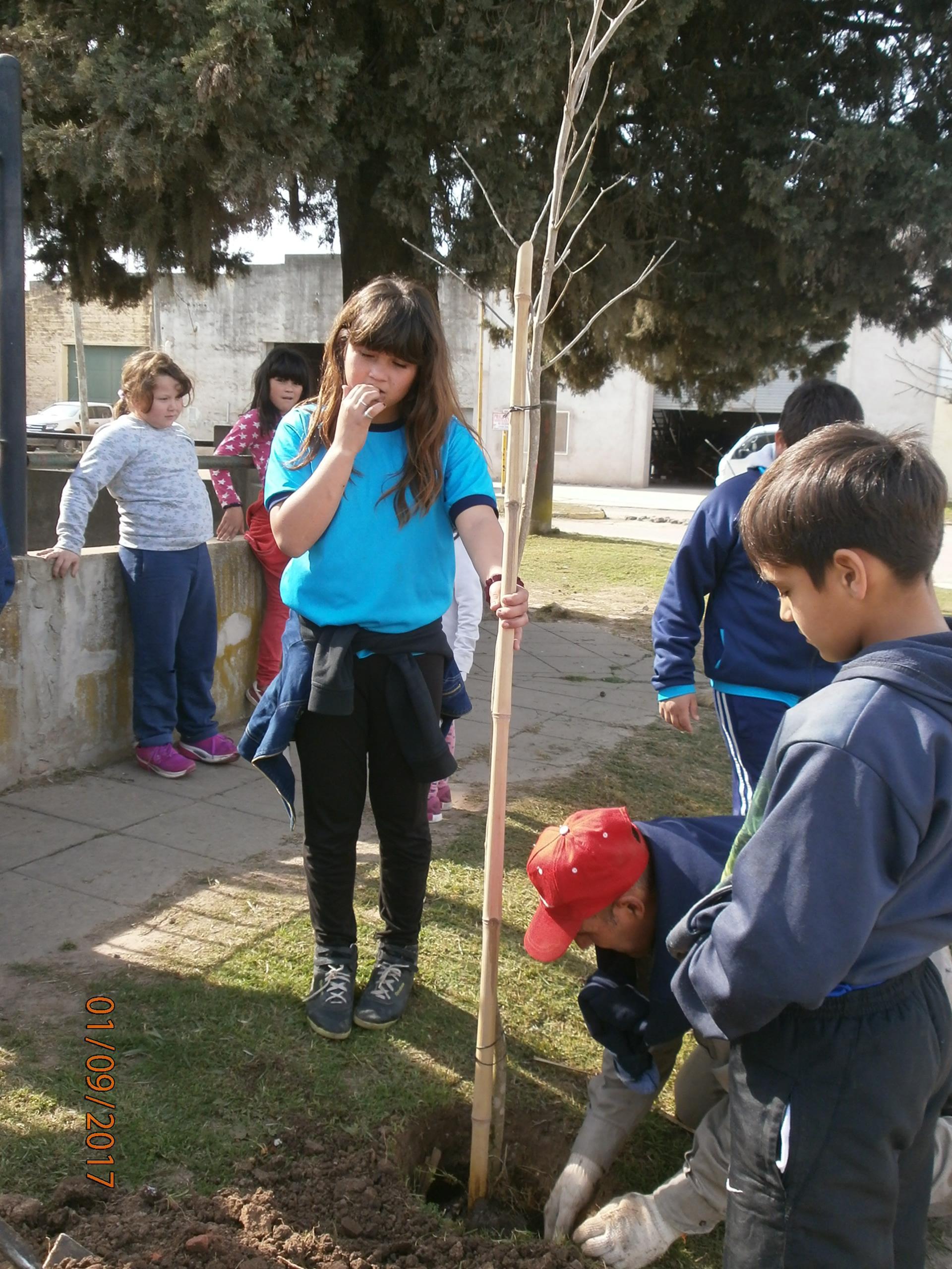 Plantación de árboles en el Hogar de Ancianos y del Niño