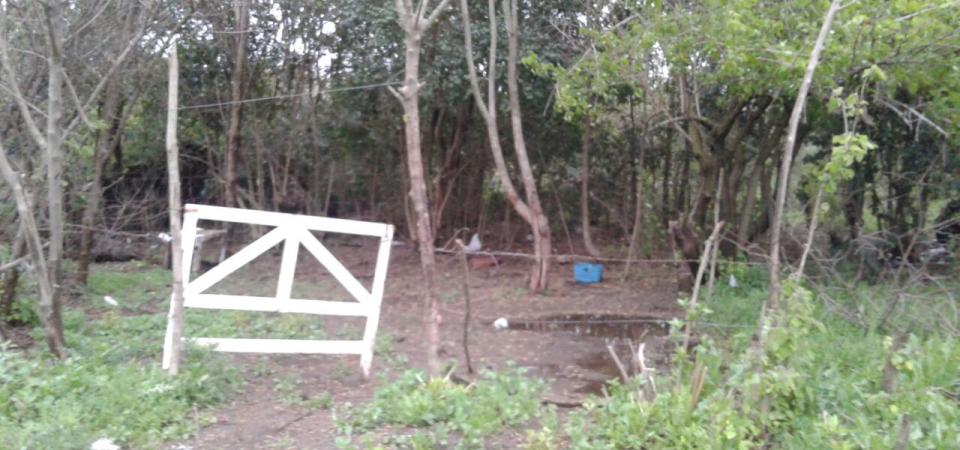 Violación en San Pedro: El Juez de Menores espera la declaración de la menor en Cámara Gesell para determinar la situación de los imputados