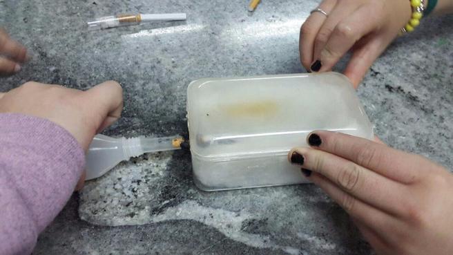 Alumnos de una escuela de Baradero demostraron que el filtro del cigarrillo no retiene sus toxinas