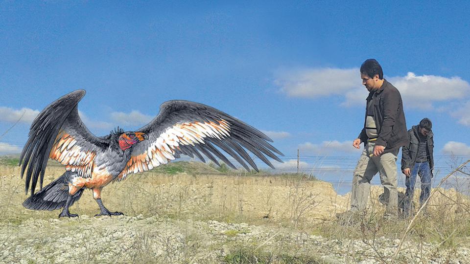 El emperador que sobrevoló las pampas